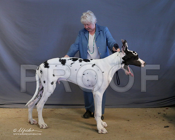 Dane-9035-LR