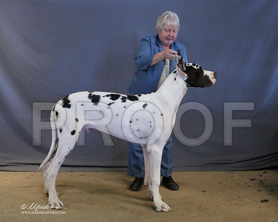 Dane-9043-LR