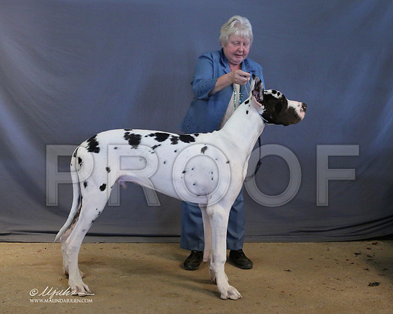 Dane-9044-LR