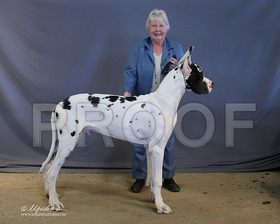 Dane-9049-LR