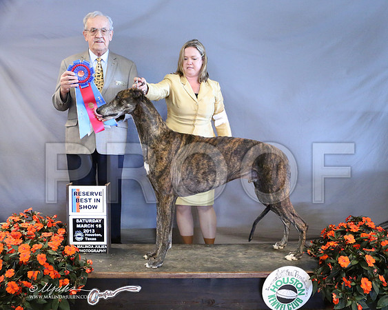 GreyHnd-8937-LR