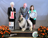 Keeshonden #5 Sat Non Sporting Group 2 Megan Mcloughlin Judge N Cartwright LR Houston Mar 2013