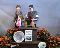 Norwich Terrier #9 Sat Terrier Group 2 Tonnie Willrich & Kristin Conlan Agent Betty Bossio Judge S Goldberg  LR Houston Mar 2013