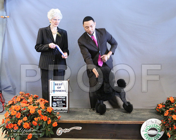 Poodmin-8339-LR