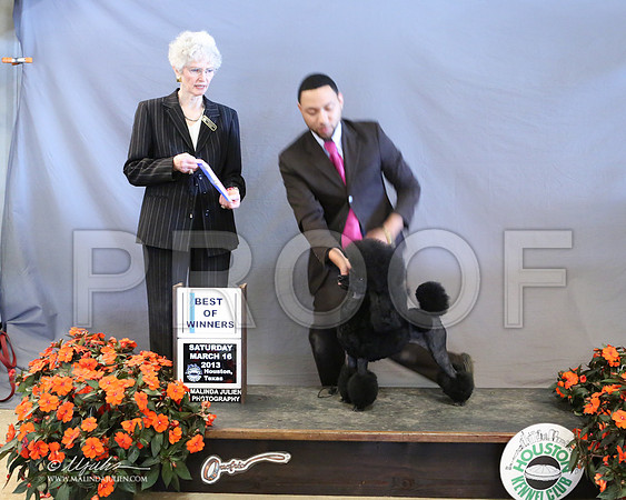 Poodmin-8340-LR