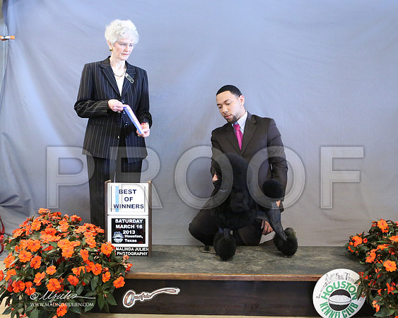 Poodmin-8351-LR