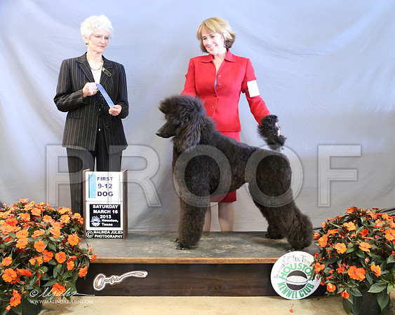 PoodSt-7998-LR