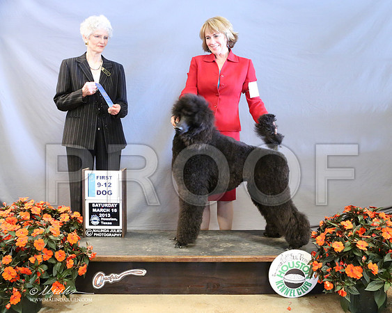 PoodSt-8001-LR