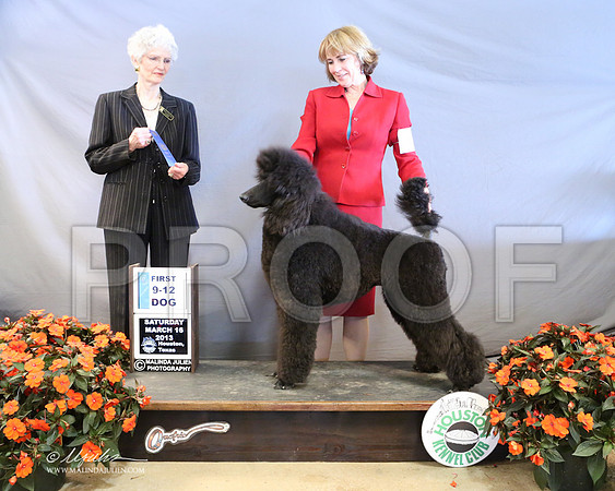 PoodSt-8005-LR