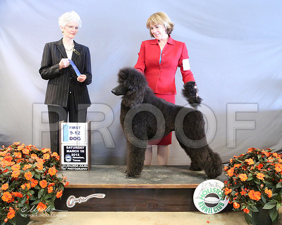 PoodSt-8006-LR