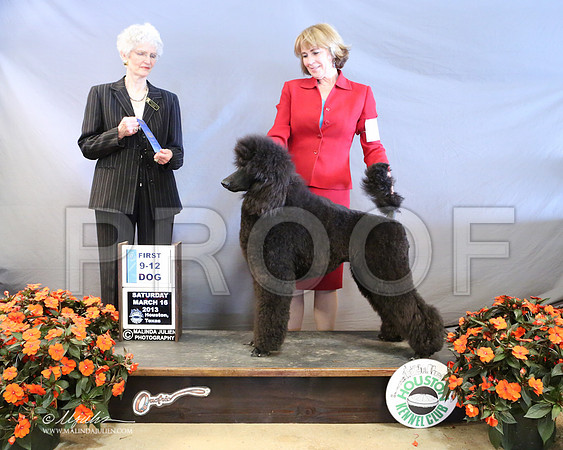 PoodSt-8007-LR