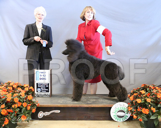 PoodSt-8008-LR