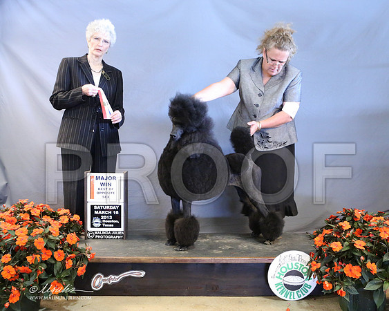 PoodSt-7944-LR