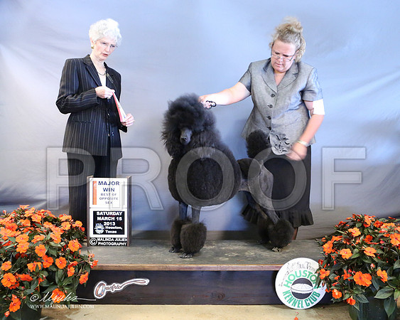 PoodSt-7948-LR