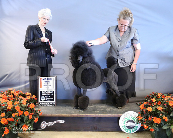 PoodSt-7950-LR