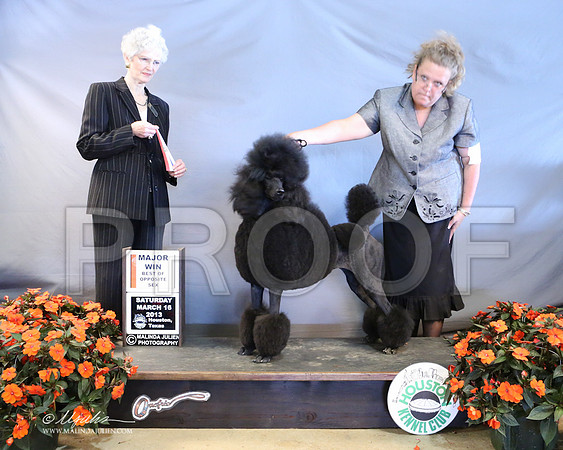 PoodSt-7956-LR