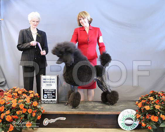 PoodSt-7964-LR