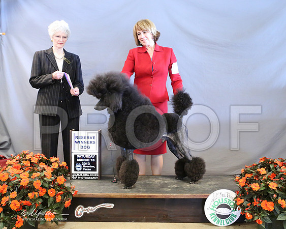 PoodSt-7965-LR