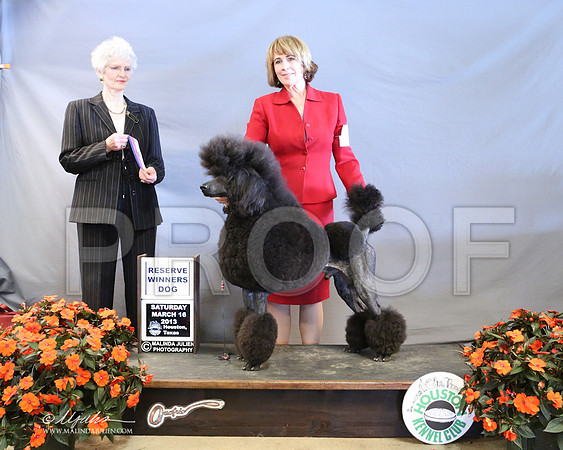 PoodSt-7968-LR