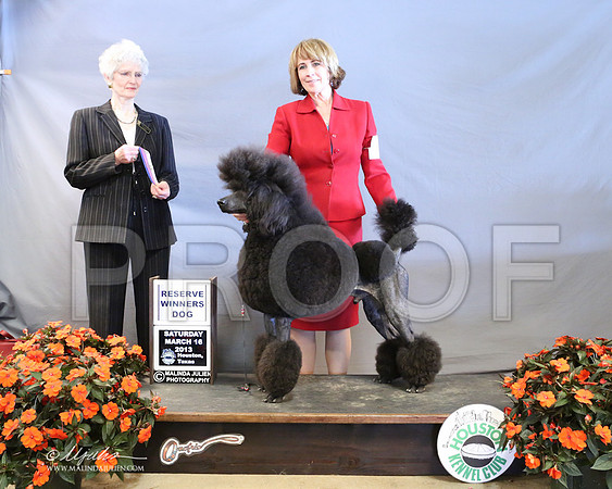 PoodSt-7969-LR