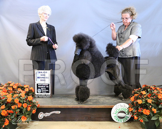 PoodSt-7991-LR