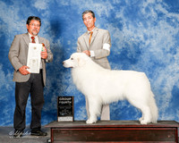 Great Pyreneese #6 Sun G4 Salas Francisco A Judge Elizardo Valadez