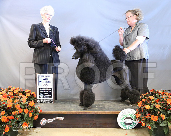 PoodSt-7995-LR