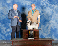Havanese #6 Sun BOB Miller Sandi Agent Dan Haley Judge Richard Albee