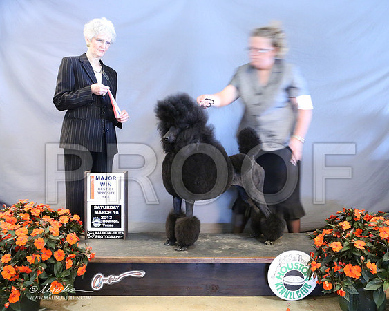 PoodSt-7960-LR