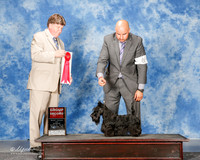 Scottish Terrier #8 Sun G2 Edell Kelli Agent Jesus Moreno Judge Charles Olvis