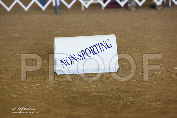 NSprtngSun-0369-LR