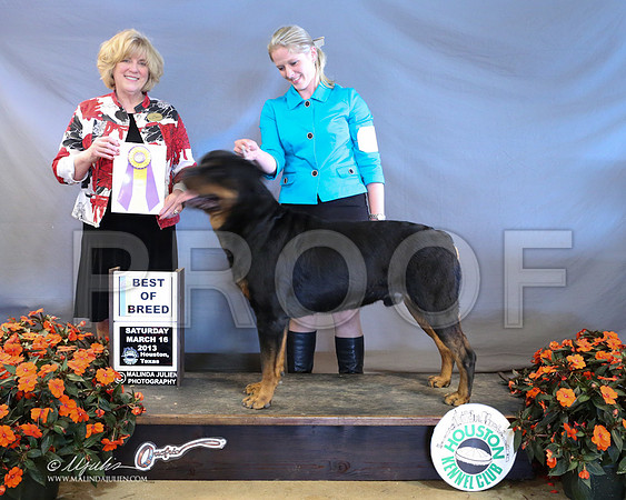 Rott-8836-LR