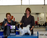 Papillon #24 Fri WB Maj Schmidt Jeanie and Paula Cox Judge Polly D Smith