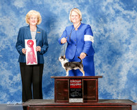 Chihuahua #15 Sun G2 Hughes Linda Judge Vicki Abbott