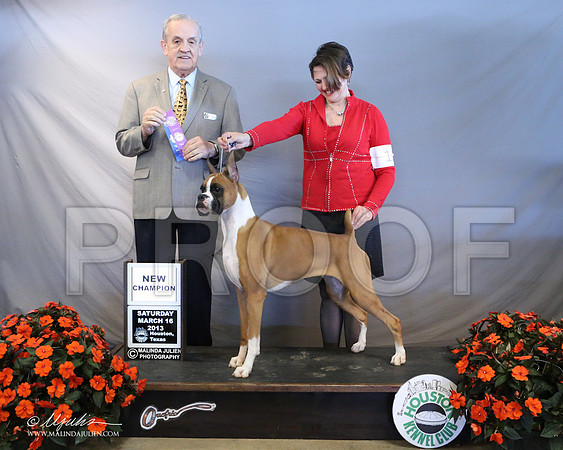 Boxer-7706-LR