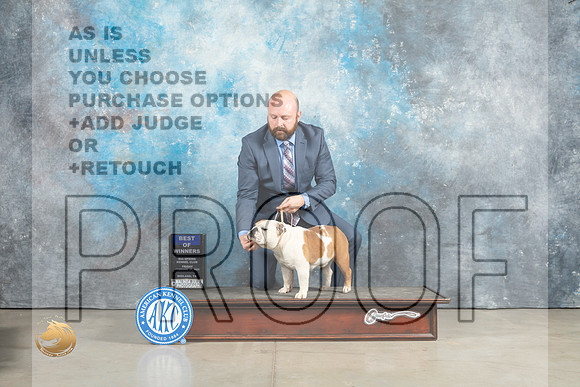 Bulldog #6 Fri BOWWB Judge Charles Olvis_MJ_2261_Midland2023_HR3
