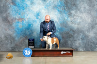 Bulldog #6 Fri BOWWB Judge Charles Olvis