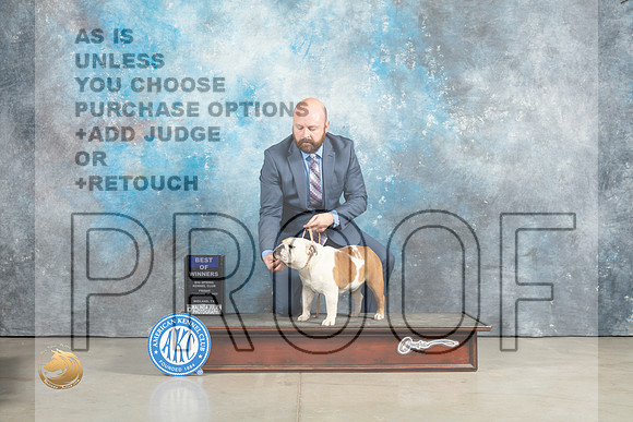 Bulldog #6 Fri BOWWB Judge Charles Olvis_MJ_2260_Midland2023_HR3