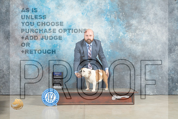 Bulldog #6 Fri BOWWB Judge Charles Olvis_MJ_2262_Midland2023_HR3