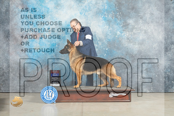 German Shepherd Dog #9 Sun WDBOWBOS Judge Elizabeth Muthard_MJ_2271_Midland2023_HR3