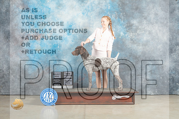 German Shorthaired Pointer #19 Sun SDMGCH Judge John Lucas_MJ_2328_Midland2023_HR3