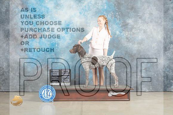 German Shorthaired Pointer #19 Sun SDMGCH Judge John Lucas_MJ_2326_Midland2023_HR3