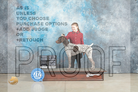 German Shorthaired Pointer #19 Sun SDMGCH Judge John Lucas_MJ_2330_Midland2023_HR3