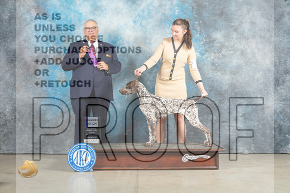 German Shorthaired Pointer #21 Sun BOW Judge John Lucas_MJ_2299_Midland2023_HR3