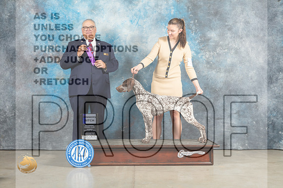 German Shorthaired Pointer #21 Sun BOW Judge John Lucas_MJ_2300_Midland2023_HR3