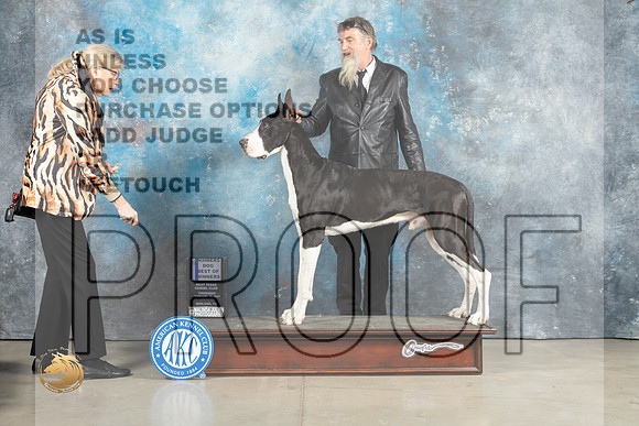 Great Dane #9 Thurs WDBOW Judge Elizardo Valadez r_MJ_2254_Midland2023_HR3