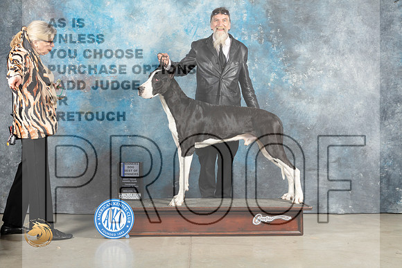 Great Dane #9 Thurs WDBOW Judge Elizardo Valadez r_MJ_2257_Midland2023_HR3