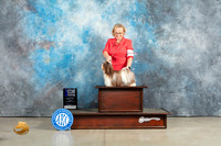 Havanese #24 Sun WBM Judge Charles Olvis
