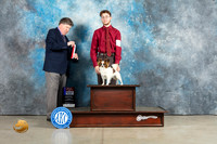 Papillon #10 Sun BOSBOW Judge Charles Olvis