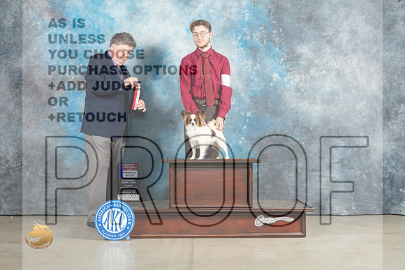 Papillon #10 Sun BOSBOW Judge Charles Olvis_MJ_2318_Midland2023_HR3
